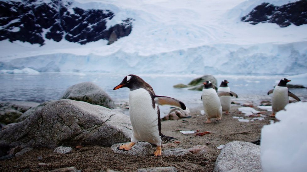 Әйелдің анусын жалап жатқан видеосы Oleta Ocean порно фотосуреттері