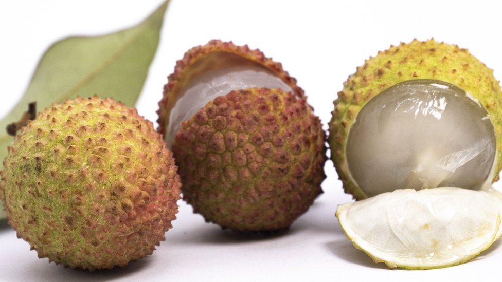 Porno redheads sorish Dik