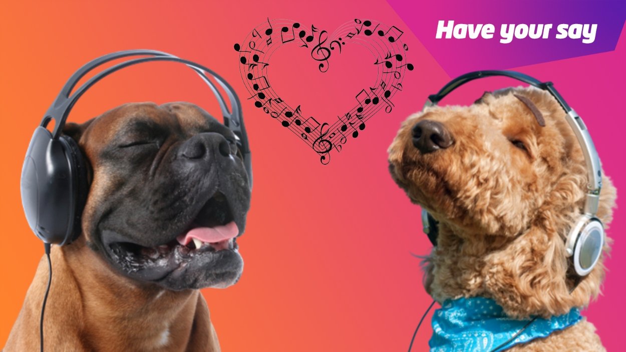 What Music Calms Dogs The Most