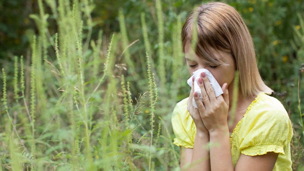Can you spend time in the garden with hay fever?