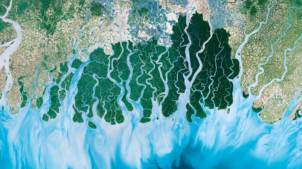 amazon river delta from space