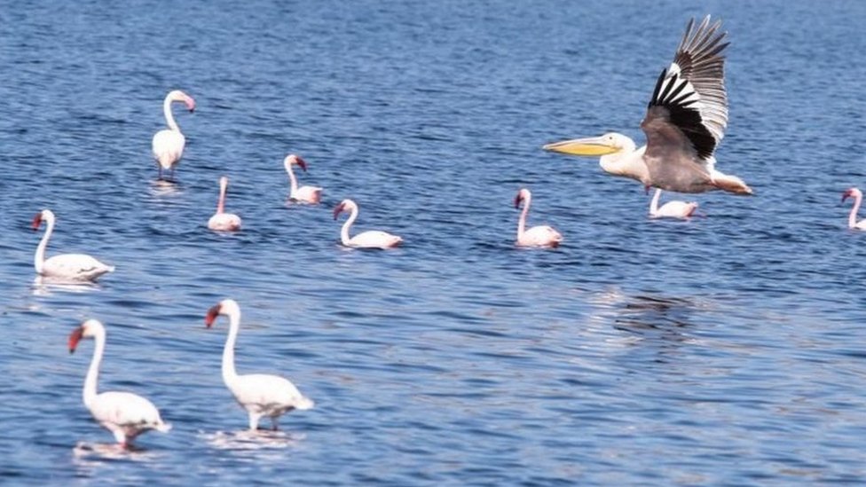 Eng yaxshi anal jinsiy aloqa