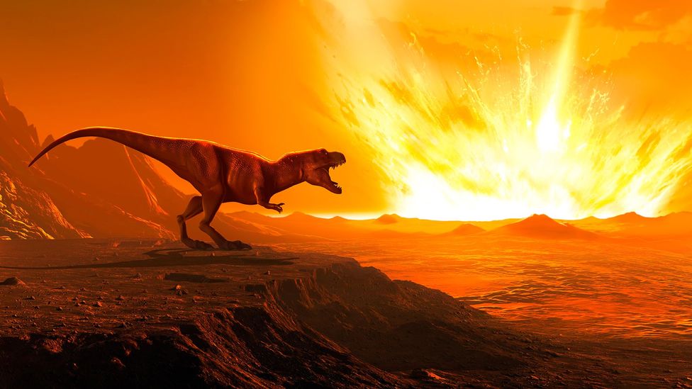 Super Dinossauros - Os Seres Mais Ferozes Que Já Habitaram a Terra em  Tamanho Gigante: Os Seres Mais Ferozes Que Já Habitaram a Terra em Tamanho