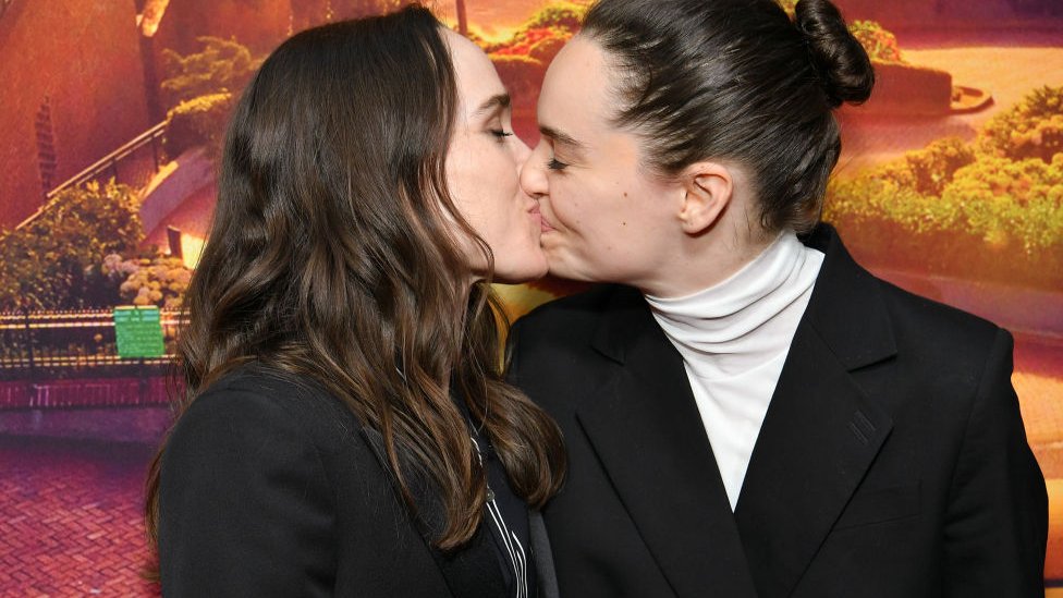 Үлкен әйел жыныс еріндері