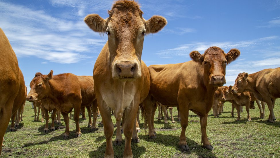 Inson jinsiy dizayn Onlaynda kastingda modellarning kiyimlarini almashtirishini tomosha qiling