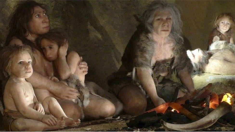 Секс древних людей с приматами и почему Солнце никогда не станет сверхновой  - BBC News Русская служба