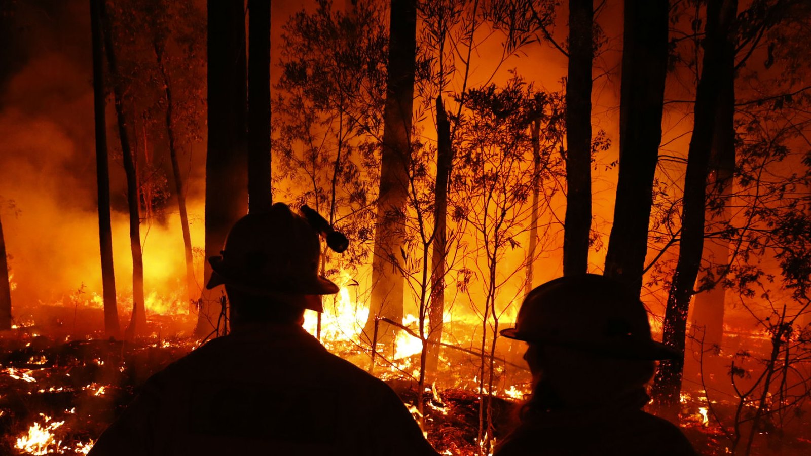 Q A オーストラリア森林火災 放火説は 渡航は 回復は cニュース