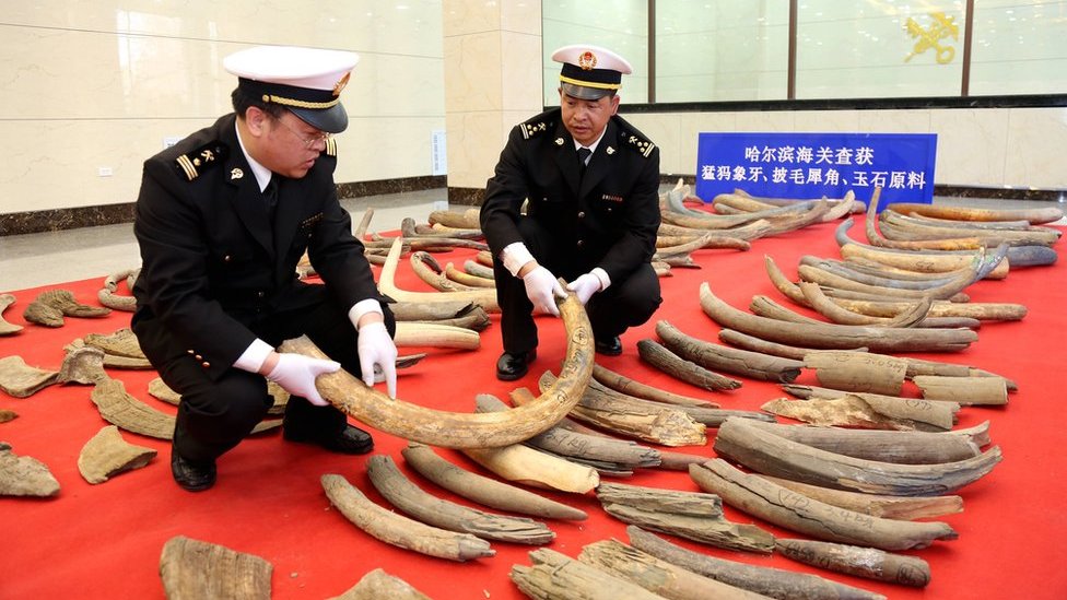 中国美術、象、牙風像 中国美術、象、牙風像