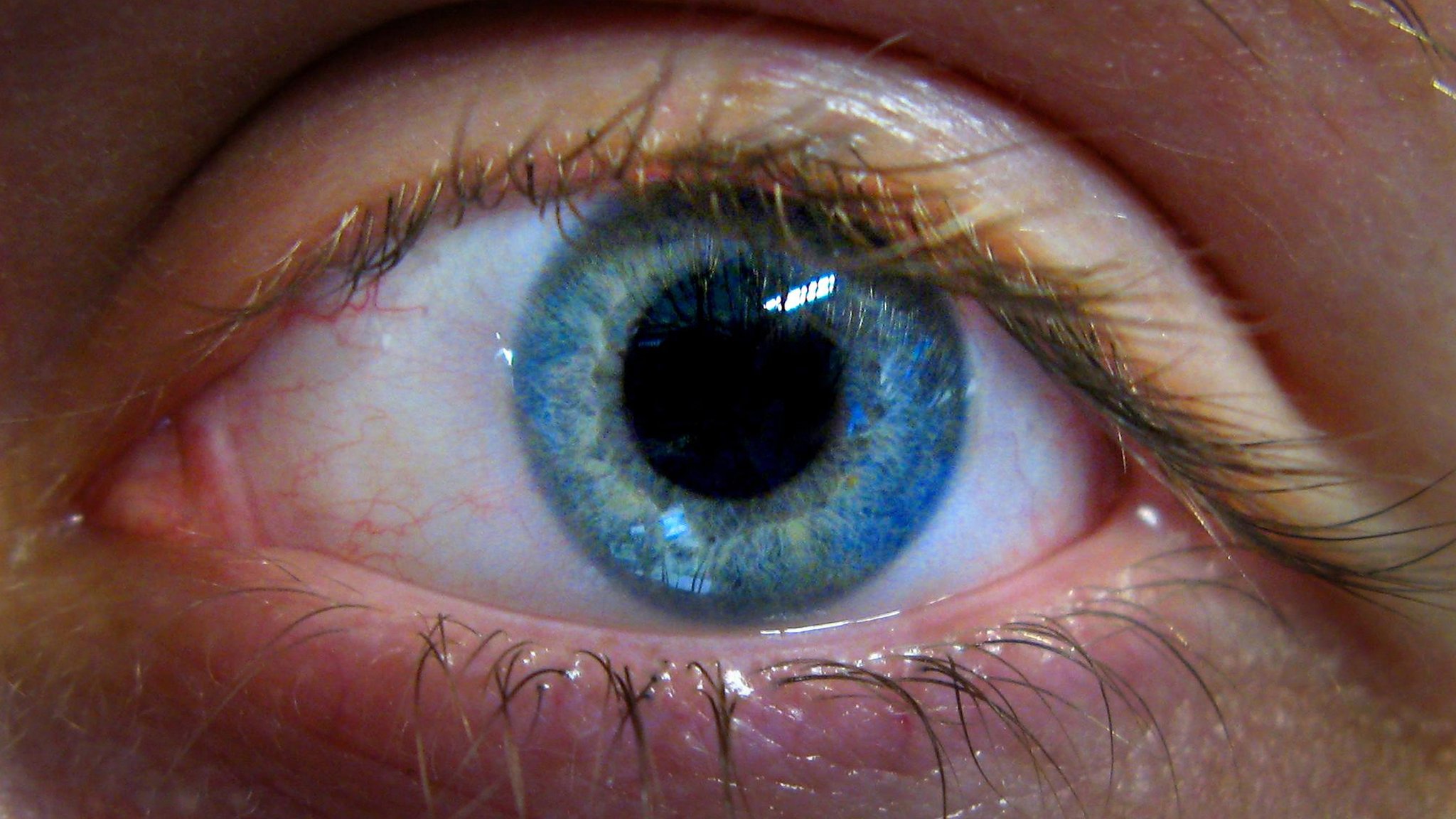 two-different-colored-eyes-siowfa15-science-in-our-world-certainty