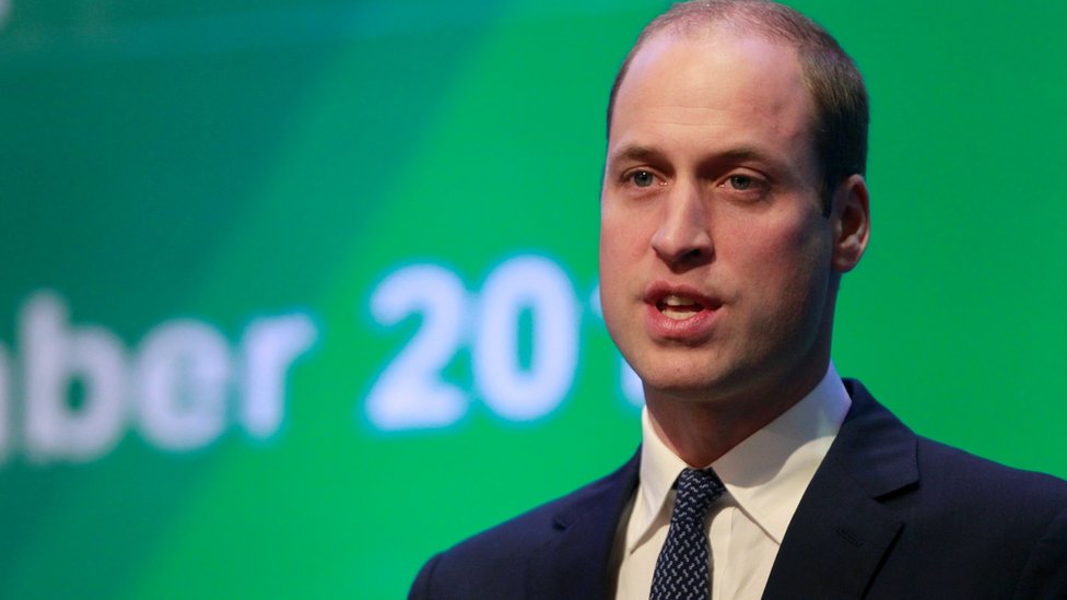 Animals still poached in 'horrifying numbers' - Prince William