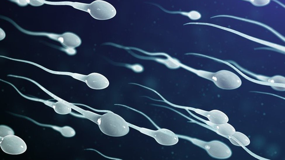 Premature ejaculation and low sperm count cause for men and