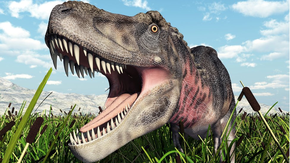 Cómo el los dinosaurios no se hubiesen extinguido? - BBC News Mundo