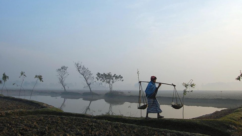 Katta kokrakli qizning porno video