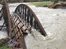 VIDEO: Public's footage of UK flooding