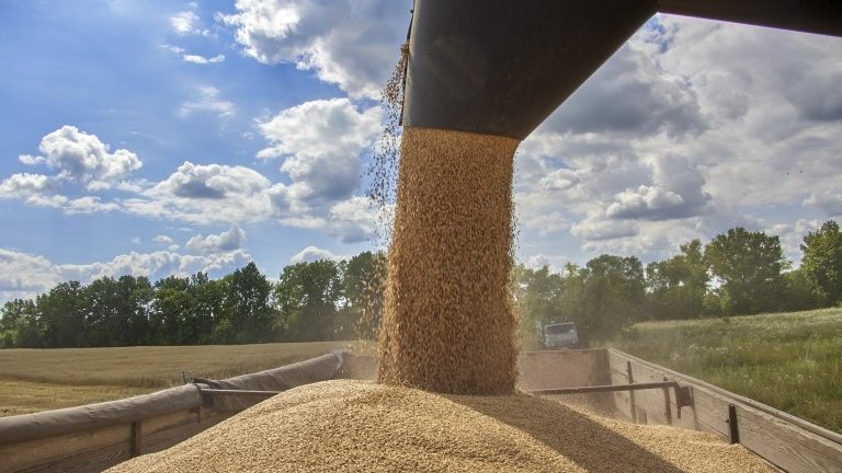 EU rejects Ukraine grain ban by Poland and Hungary