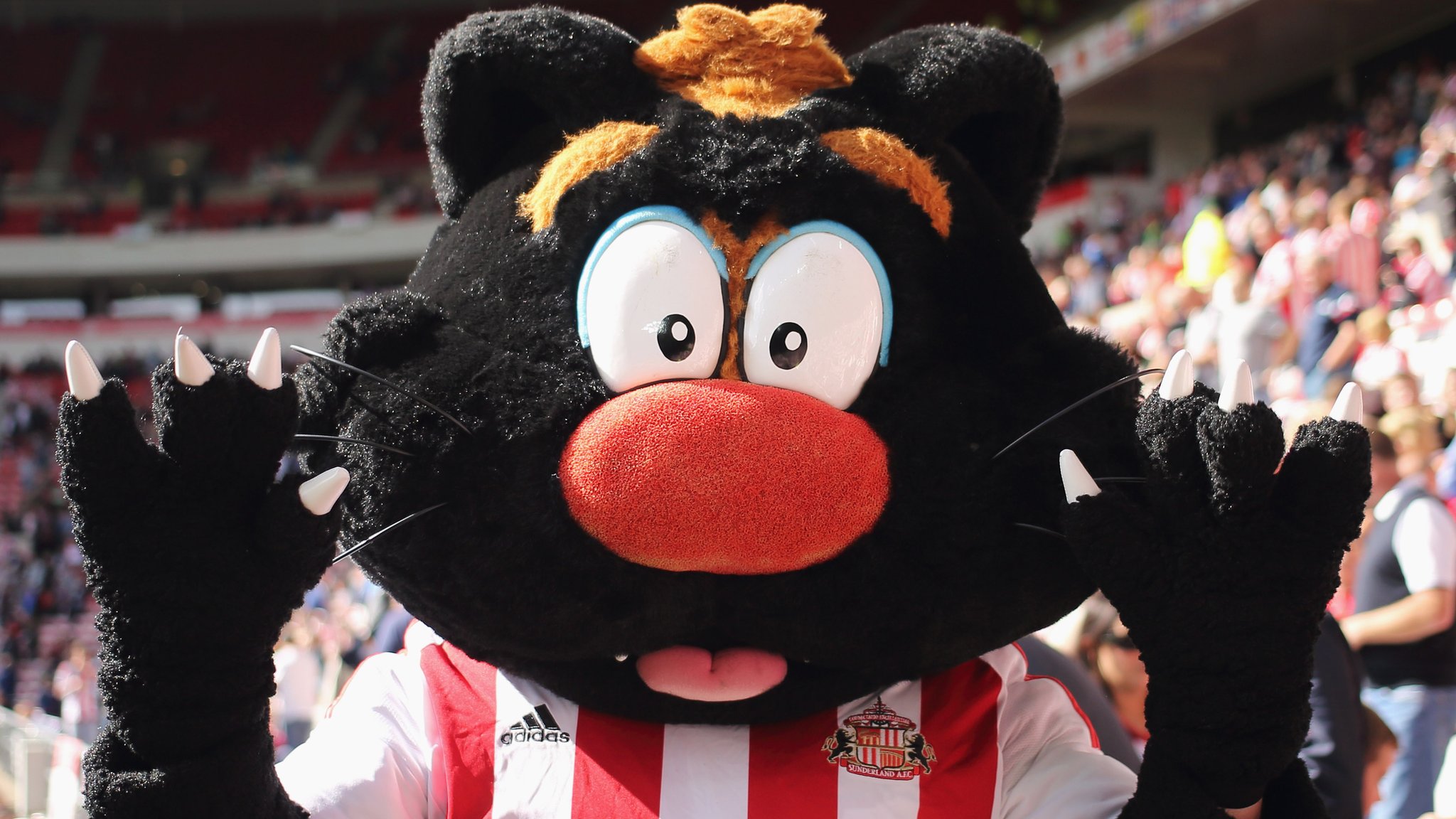 Sunderland: Tony Davison named club's managing director after