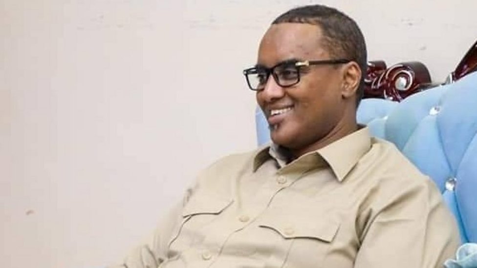 Polshada yalangoch mastlarning fotosuratlari Eng qattiq mushuk (faqat fotosuratlar)