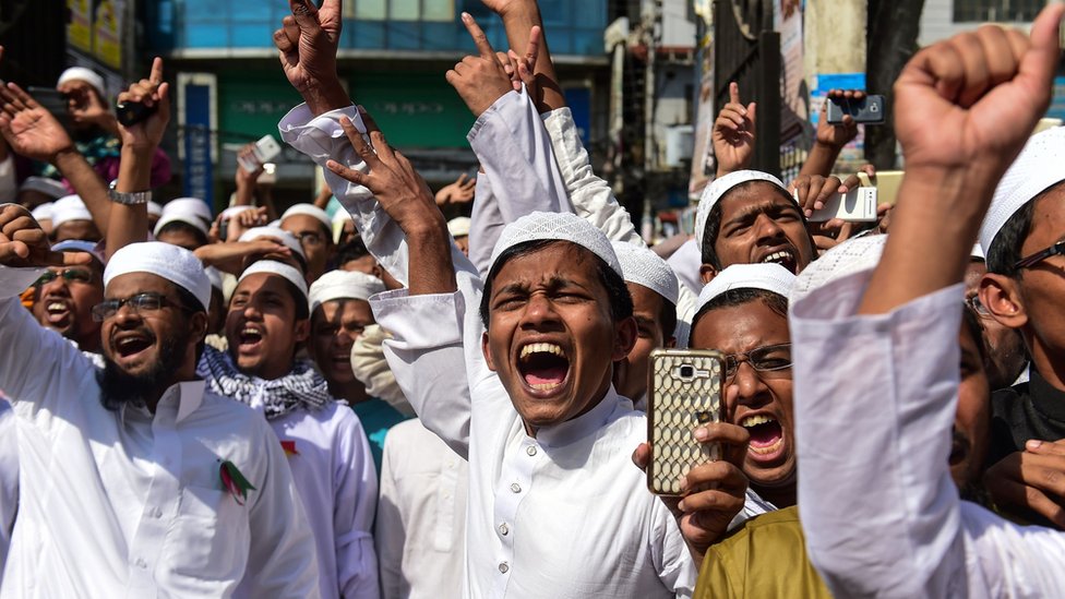 Külotlarda hol mushuklar