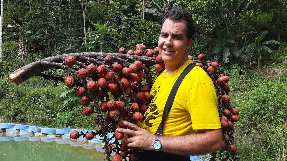 Conheça as frutas mais exóticas do mundo - BBC News Brasil