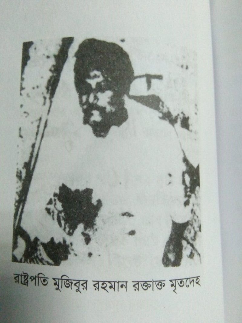 Katta kokrak, eshak va mushukning fotosurati