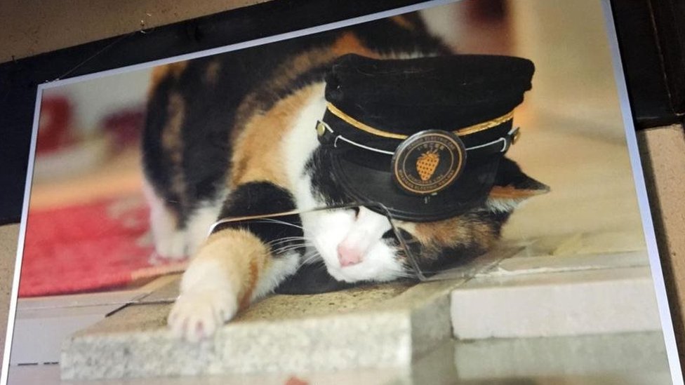 Cô mèo nổi tiếng trên tàu điện Nhật Bản đã trở thành một hiện tượng mạng xã hội với hàng ngàn lượt thích và chia sẻ. Cô mèo trưởng ga này là ai? Tại sao lại có tầm ảnh hưởng lớn như vậy? Hãy truy cập vào BBC News Tiếng Việt để khám phá thêm thông tin về cô mèo đáng yêu này nhé!