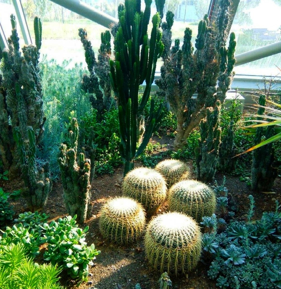 Үлкен өлшемді әйелдер үшін дұрыс жыныстық позициялар