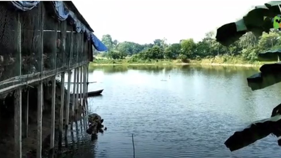 Mushuk yalash jinsiy aloqa video Jinsiy pozitsiya yuzma-yuz