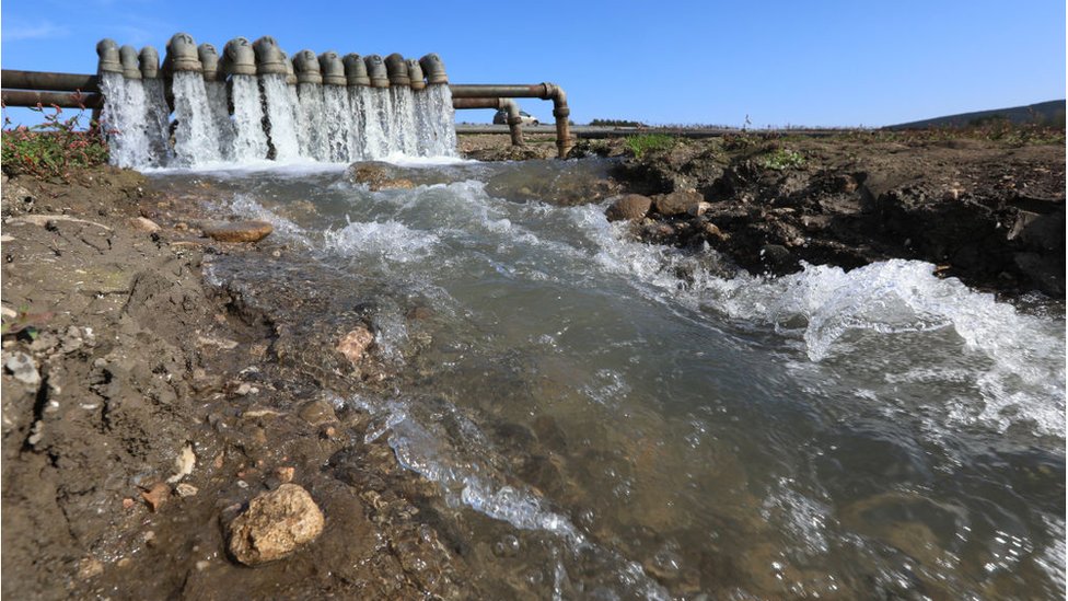 лизать пизду много воды