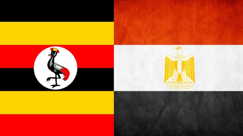 Jinsiy chaqaloq foto