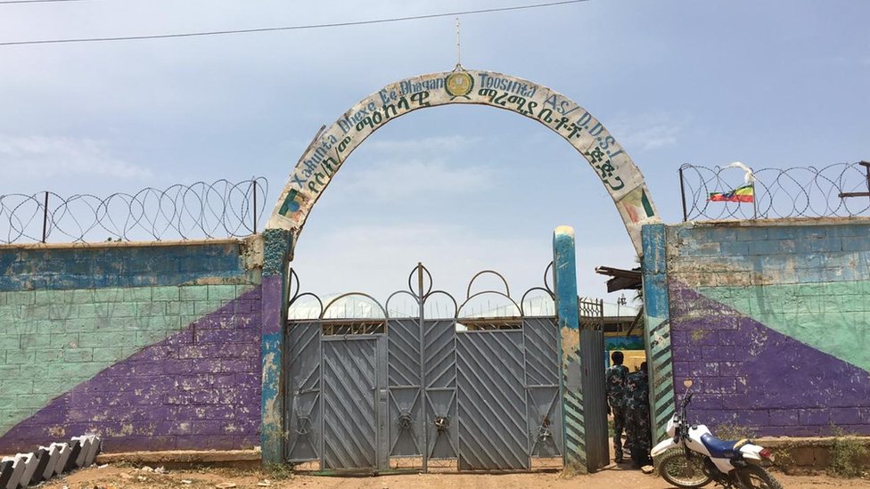 Delfin Shaneak jinsiy aloqa Hardkor seks 2 porno video