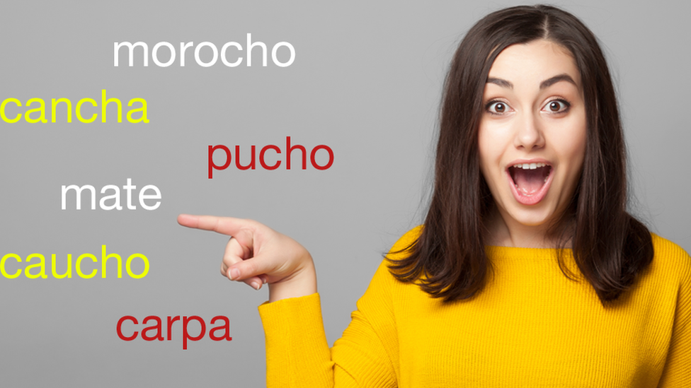 Nomes Científicos - O 'x' da questão (ou seria um 'ch'? 🤔) ❌ “Chico se  chateou ao ver sua chica checa saindo do chalé do xeque com um cheque.  Chocado, perguntou-lhe o