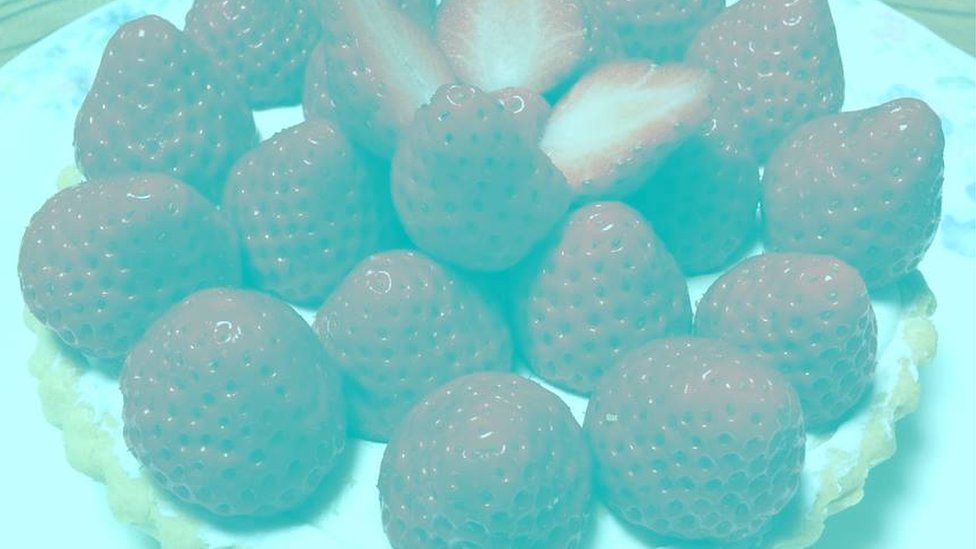 STRAWBERRY FIELDS 『Lips Like Strawberry』 LIPS LIKE STRAWBERRY - Strawberry Fields | vkgy (ブイケージ)