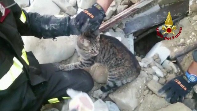 Video image