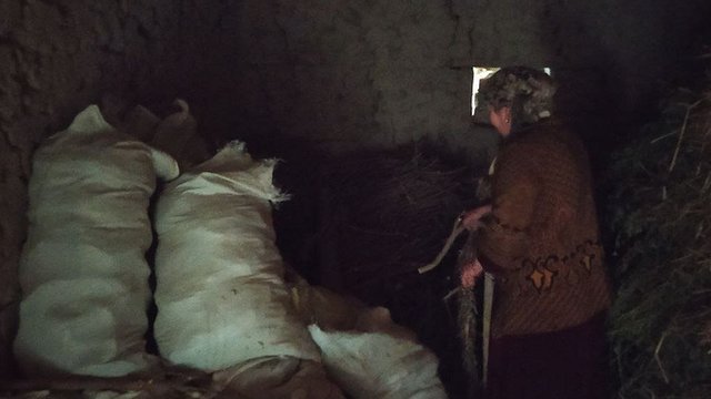 Sohildagi külotimdan mening pubik maydonim korinadi.