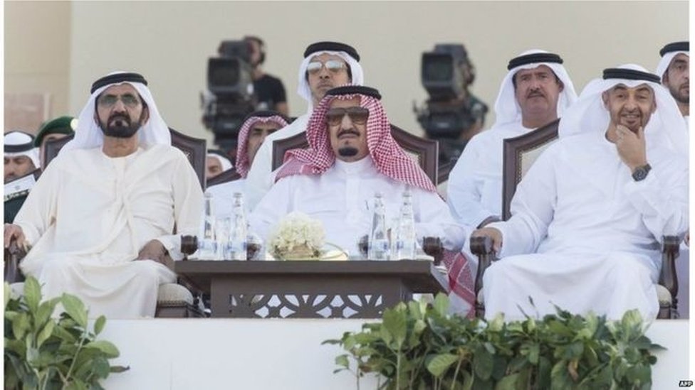 الملك السعودي وحاكم دولة الإمارات