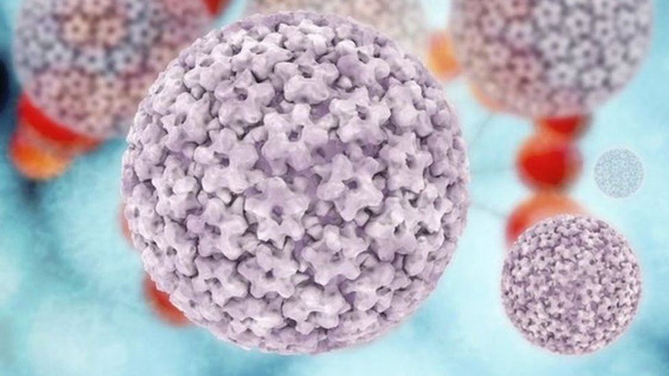 Jinsiy piknik porno onlayn