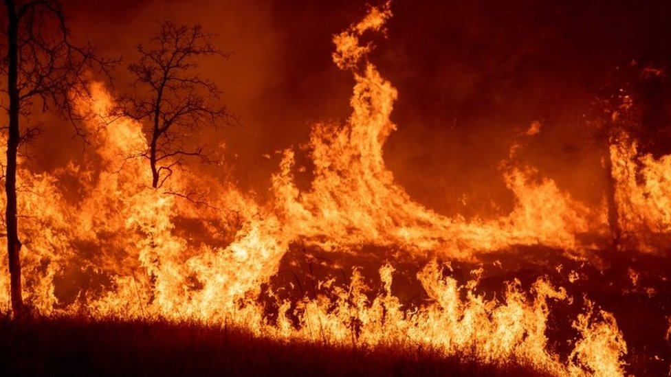 California Fires Thousands Forced To Flee As Carr Fire Spreads Cbbc