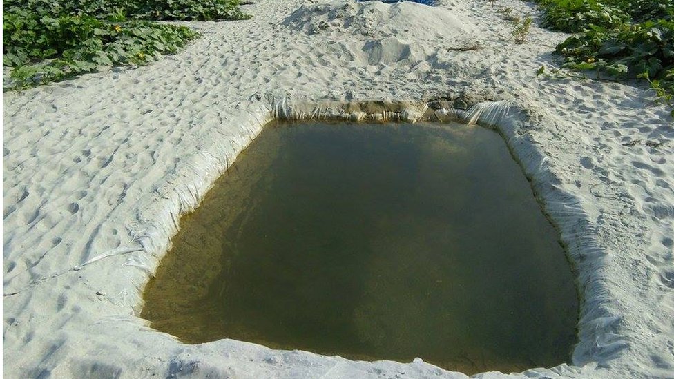 40-50 yoshdagi etuk jinsiy chaqaloqlar