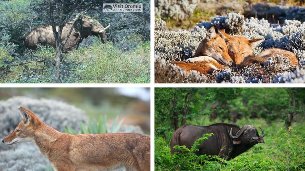 Toliq HD sifatli porno videolarni tomosha qiling: Toliq Carmen Pornstar