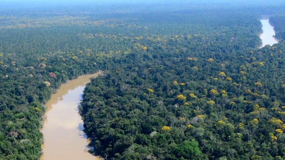 Masyarakat Adat Amazon Tidak Sebabkan Gangguan Atau Hilangnya Spesies Selama Ribuan Tahun Hidup Di Hutan Bbc News Indonesia