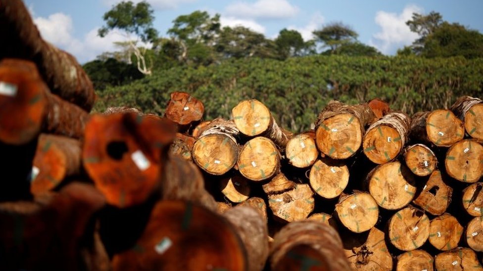 A carne possível: fazendeiro mostra como pecuária pode regenerar o Cerrado  - 18/03/2021 - UOL ECOA