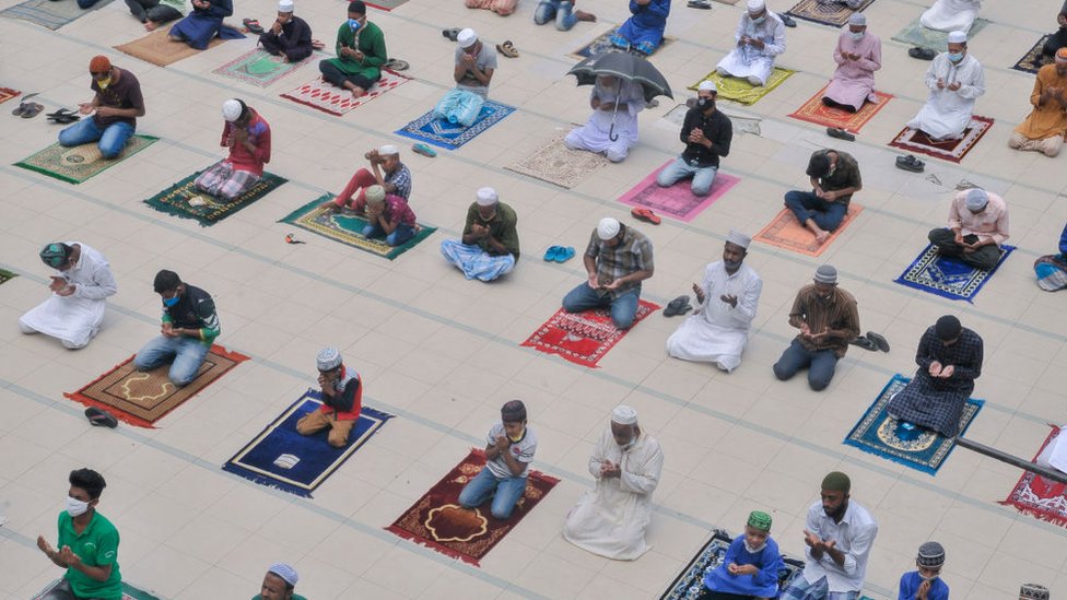 Katta sonlar va eshaklar yaqindan