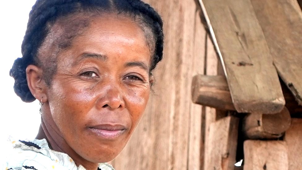 Lutter contre les voleurs de vanille à Madagascar - BBC News Afrique
