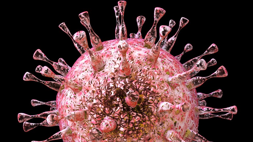 Citomegalovirus