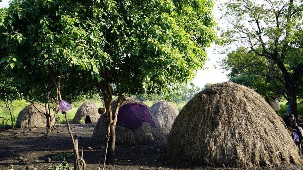 Pornografik matnlarning elektron tarjimoni