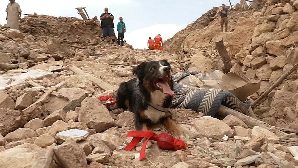 モロッコ地震、被災地ルポ 一面のがれきの中で探知犬は反応せず - BBC