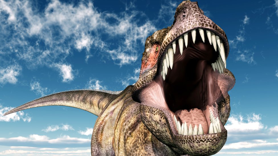 Por qué a la mayoría de los niños (y a muchos adultos también) les fascinan  los dinosaurios - BBC News Mundo