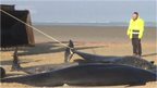 Video image