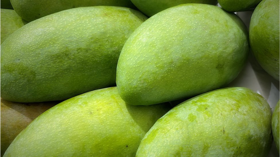 Anna Koshmalning erotik fotosuratlari