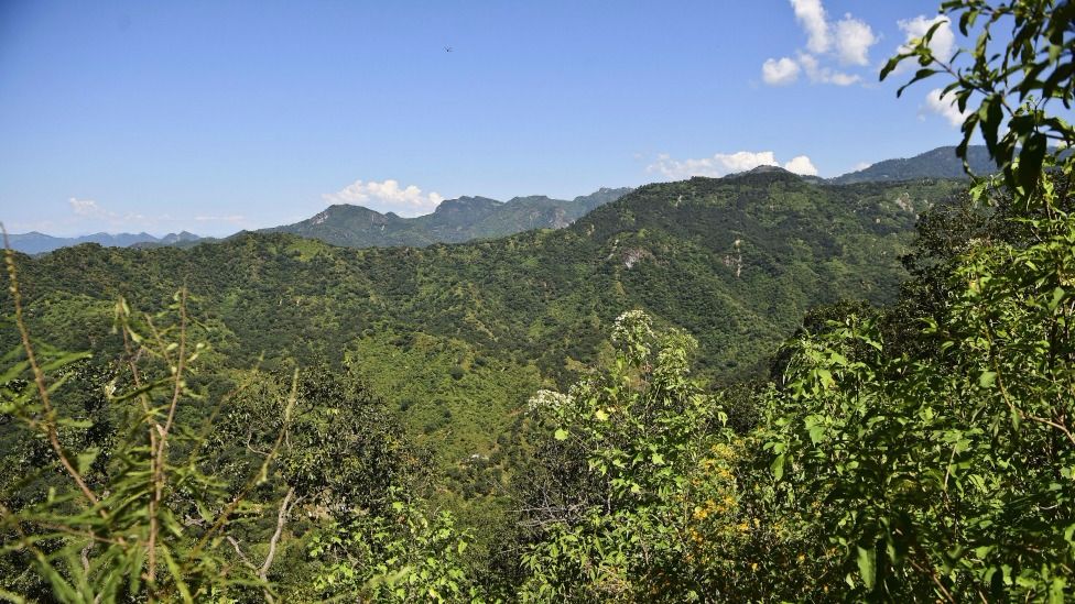 El Triángulo Dorado es una de las zonas de mayor producción de droga de América Latina.